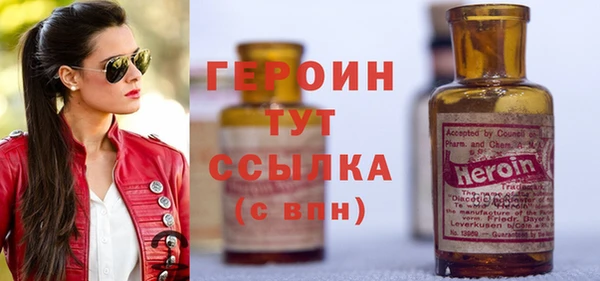 гашик Алексин