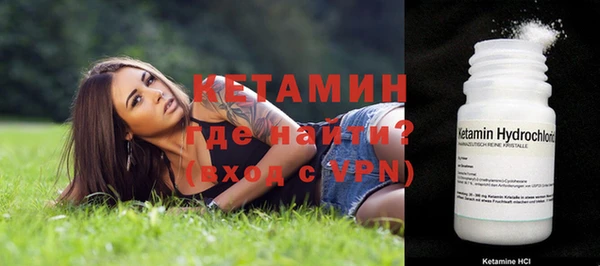 гашик Алексин