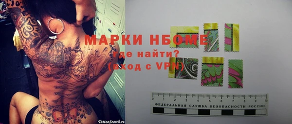 гашик Алексин