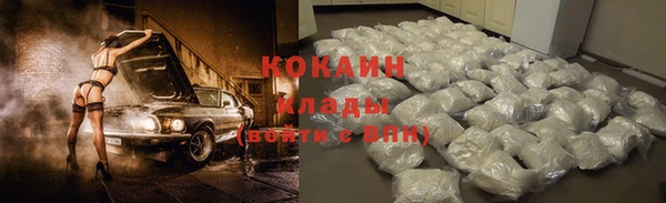 гашик Алексин