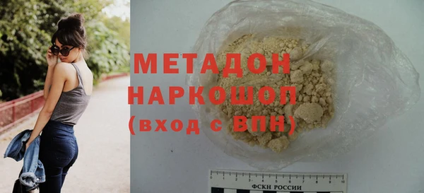 гашик Алексин