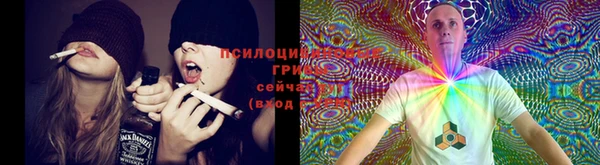 прущие грибы Навашино